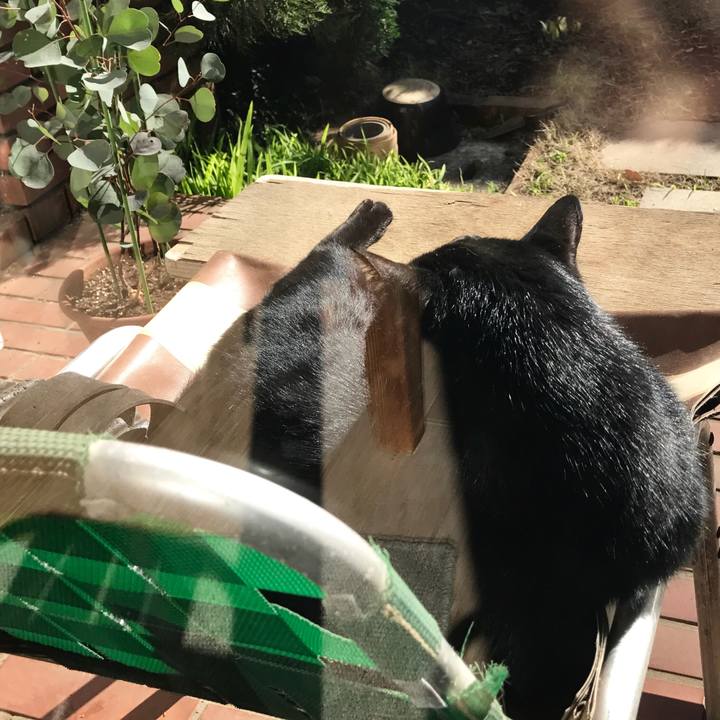 A5792b79 6e42 4703 ab06 db3b245137b9