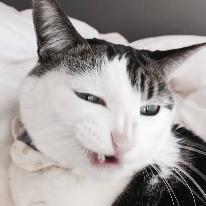 A57973b3 407b 4aba aa93 af3803d4d11d