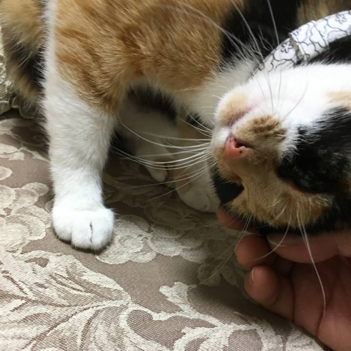 A579d0db 3ebf 41a7 924f 60184cd3b182