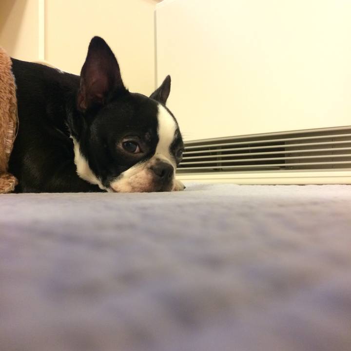 A579ead0 cb1a 4fd0 8b0e e3d74f27a55d