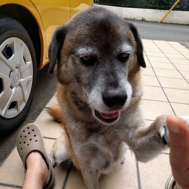 A57b931d eef9 4f1b 8e72 638e7f8cbf40