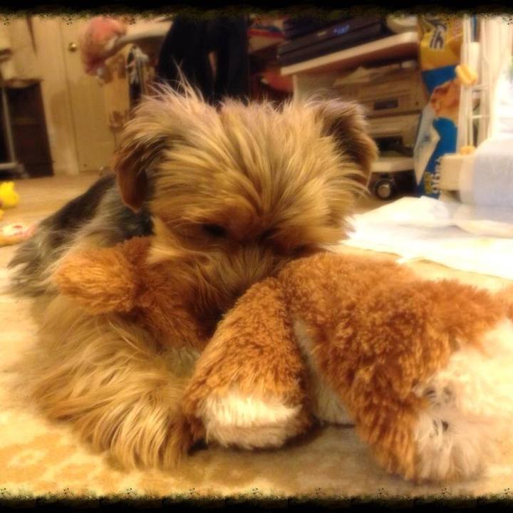 A57ba941 f471 4c5d b655 200dabc85549