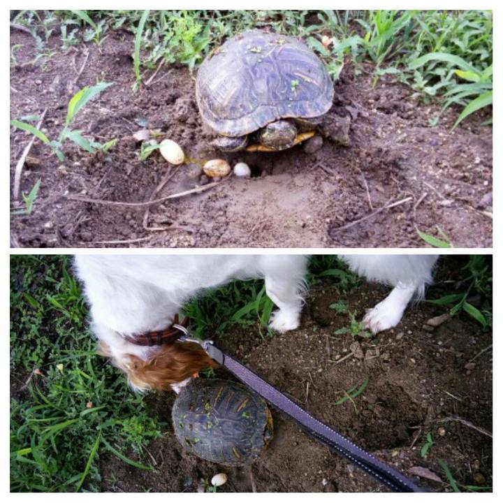 A57bb0cb 8a0e 4bcf 8da2 969130dbc450