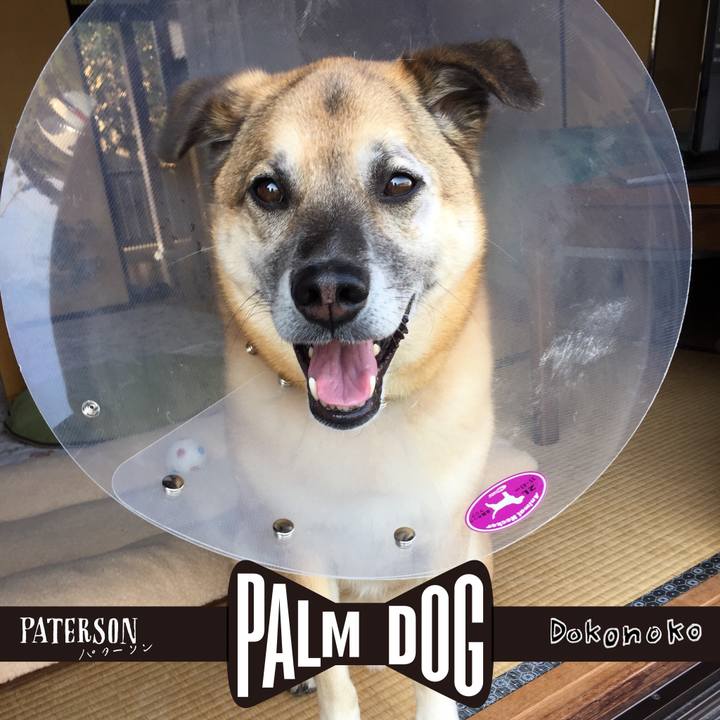 A57c1341 7e70 44ed 9409 f95e7e024303