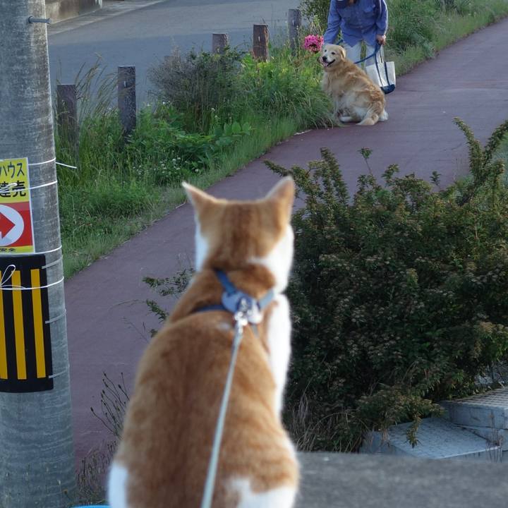 A57c15e3 1588 4ae4 8cb6 f4ec05ac3362