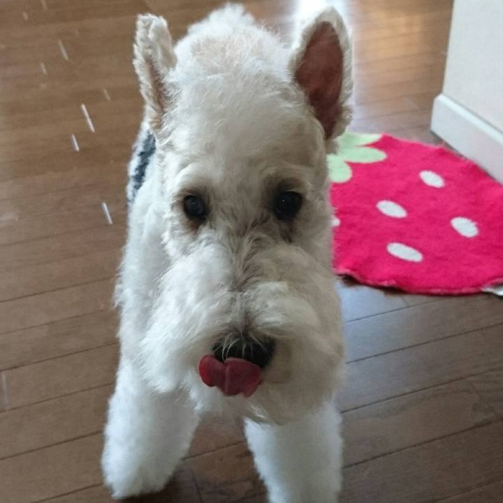 A57d6d8c 337a 45fe 9706 688af2c1f0a2