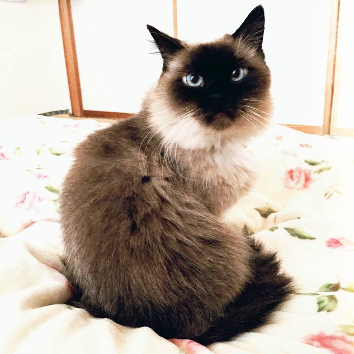 A57da117 7c58 489b a5c0 1de1ae969fd3