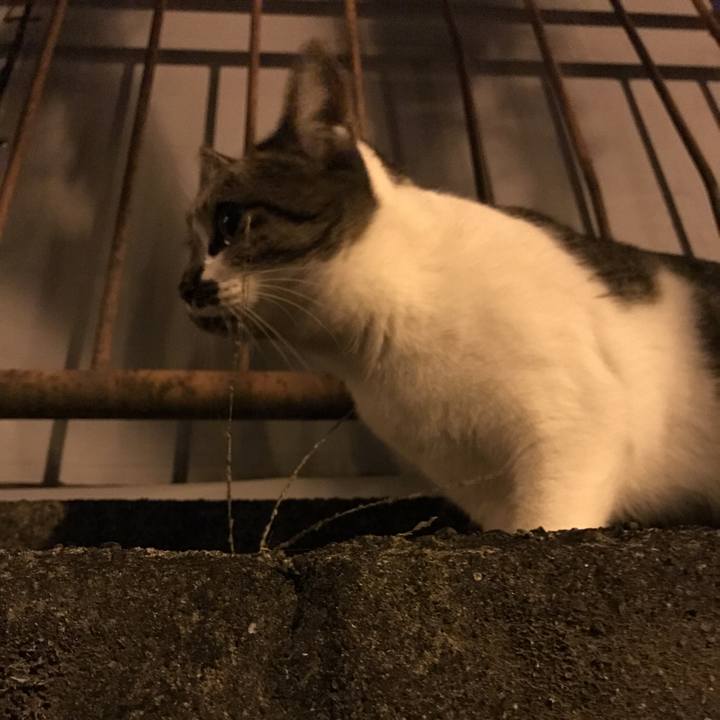 A57dbcb8 ae87 456e ae7d 20e8145b779c