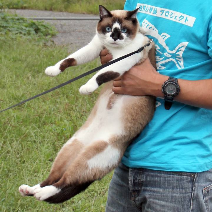 A57e4a29 6bec 44a3 94e6 073b7576b7aa