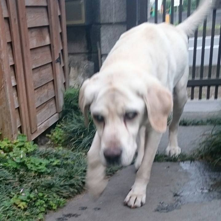 A57e93e3 a90f 4af3 adb6 556cbcc83fa9