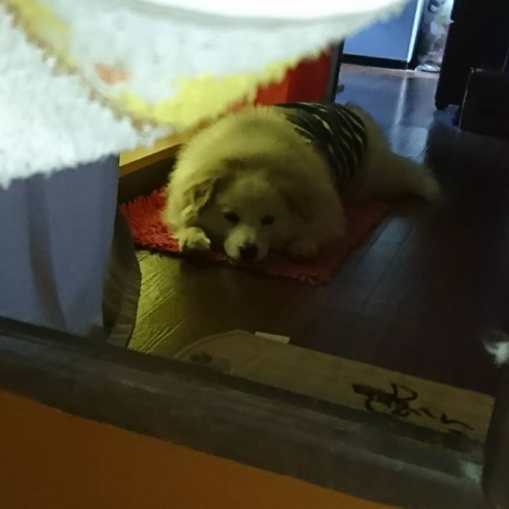 A57f4718 1666 460c b4ce bc600161f30d