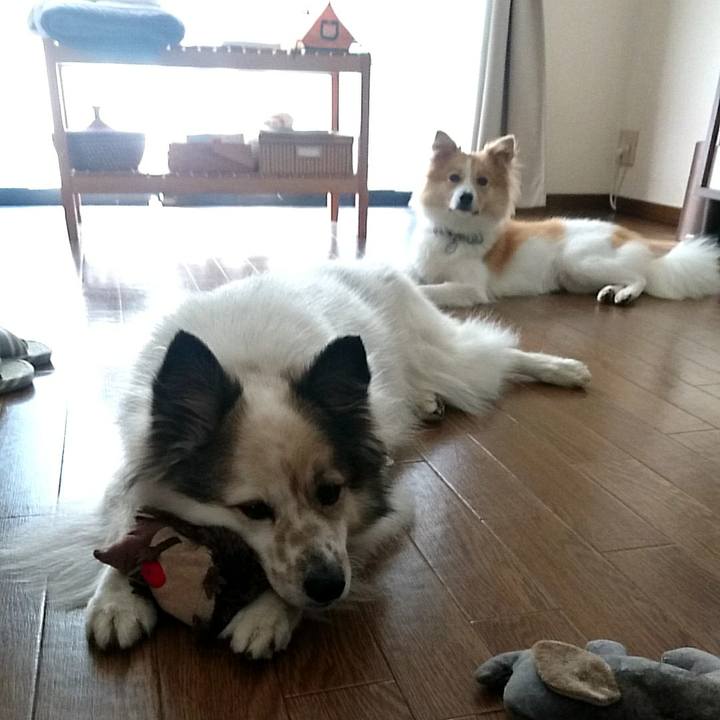 A57f4a3b cb07 48cd a3de 6ff8153438ab