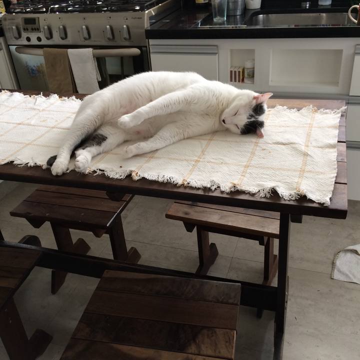 A57f9160 14f4 42b9 87e9 3112b50f64fe