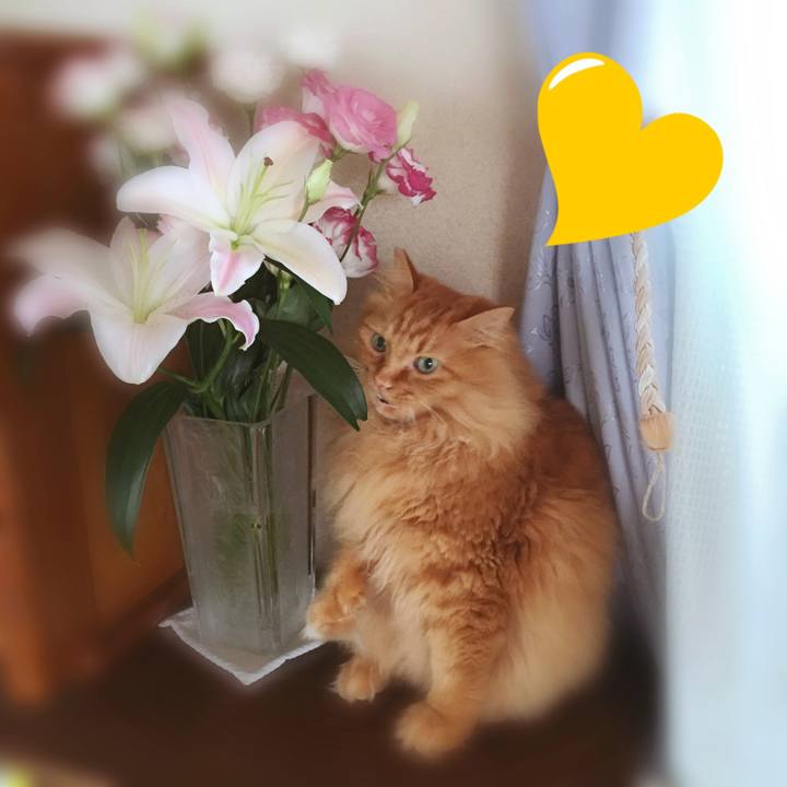 A57fcdde a5d8 454e 98b4 8b1d9aafe4cc