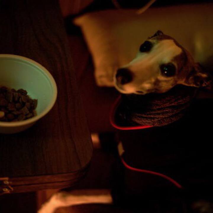 A580f5ca 4ce0 43e3 9683 d0739fc5e7e0