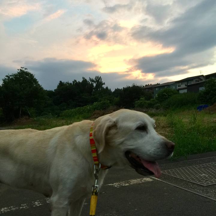 A581200c 88ea 43ee 9dea 87ed82d0e5c9