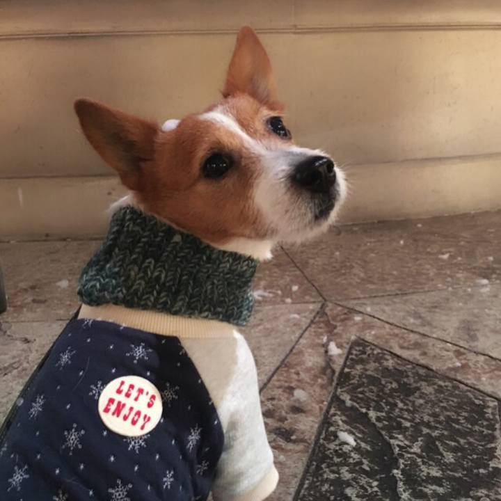 A5816649 d16e 4056 bed2 68c672956e57