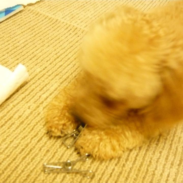 A581ae29 9c5b 4925 bed5 c24f9fe59d2b