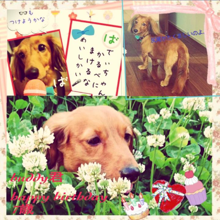 A5821c12 5ea4 4e98 b614 b0f52c8d92ae