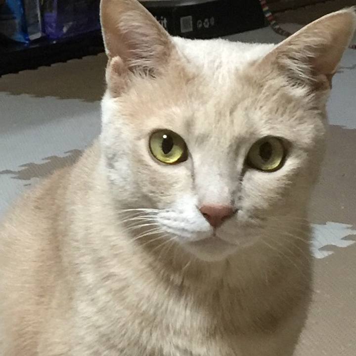 A5822d51 f6fe 4304 8fa8 cf7eac5dcbe9