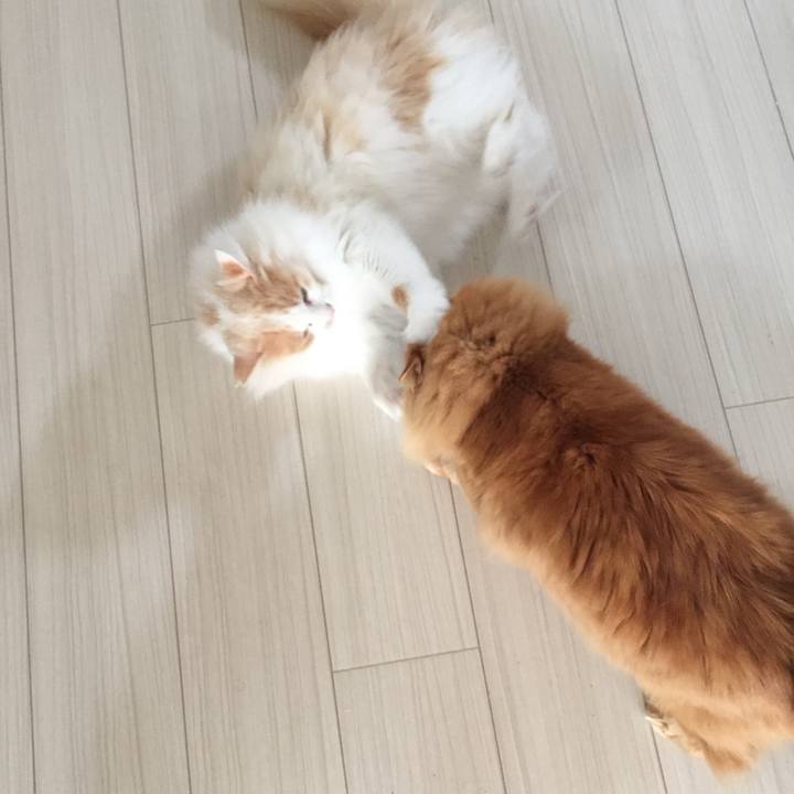 A5823e31 fb02 48fc 84af d1de46545ae8