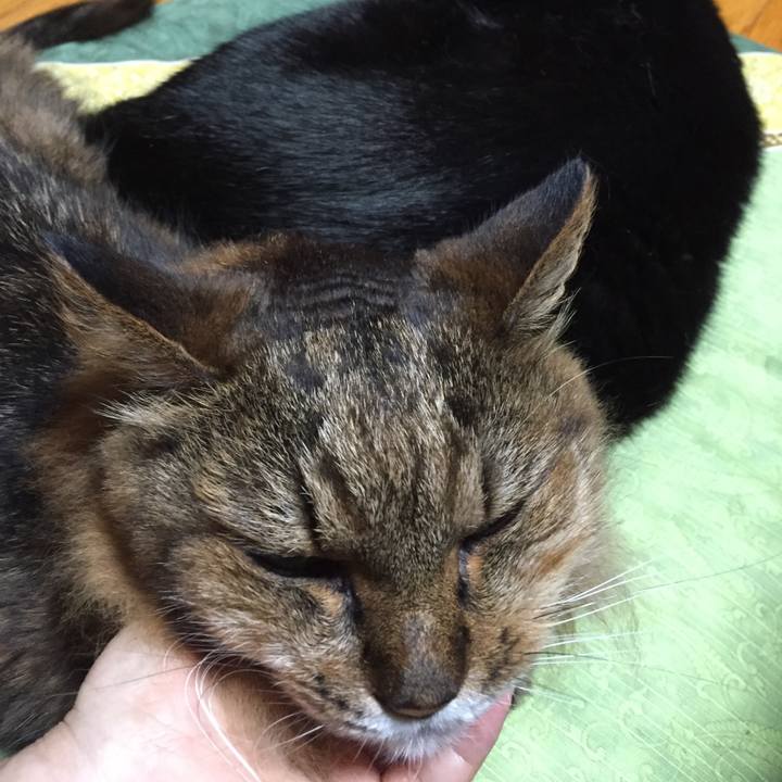 A58296dc b737 4952 860b 022370c7e7ca