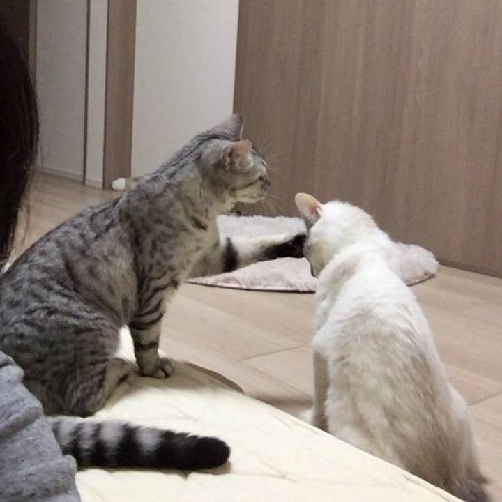 A5833331 a0b8 48b9 8c43 95224fbe7c01