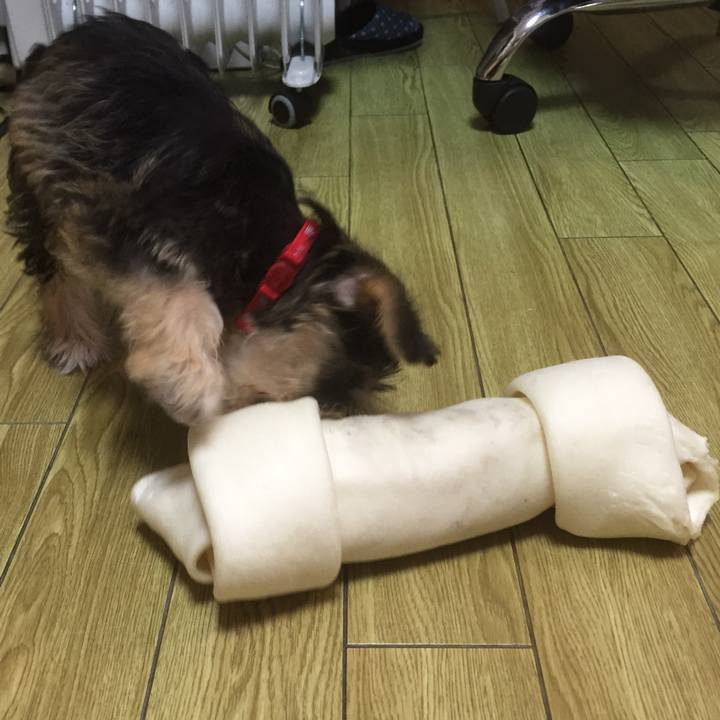 A583969d 0023 4d13 90b9 56cda979ff7a