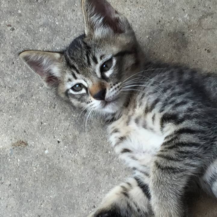 A583dfed 14cb 4cb0 a94c 4742d7ff2d75