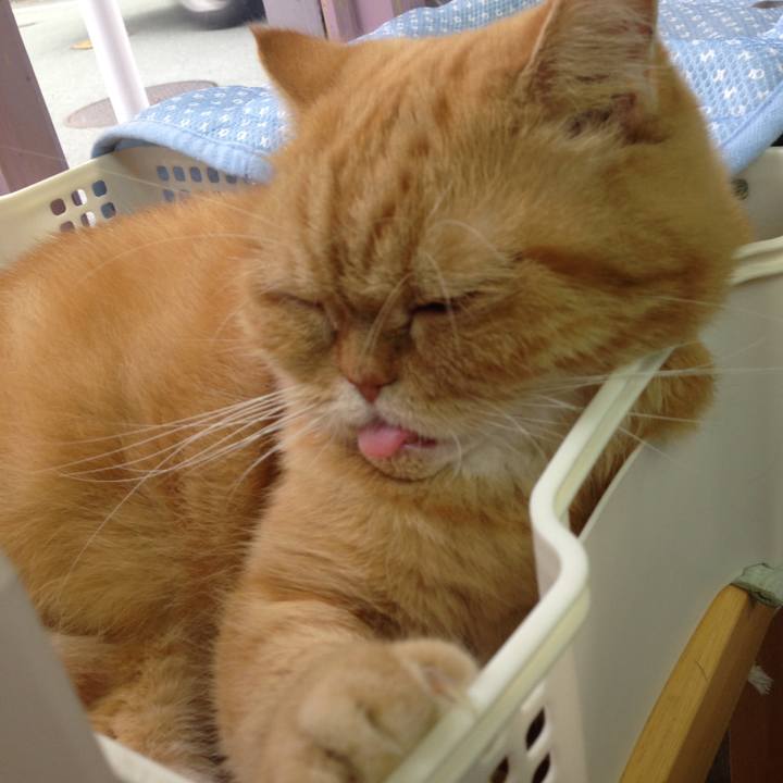 A583e90b 57f2 4c38 92d3 e4174f69413f