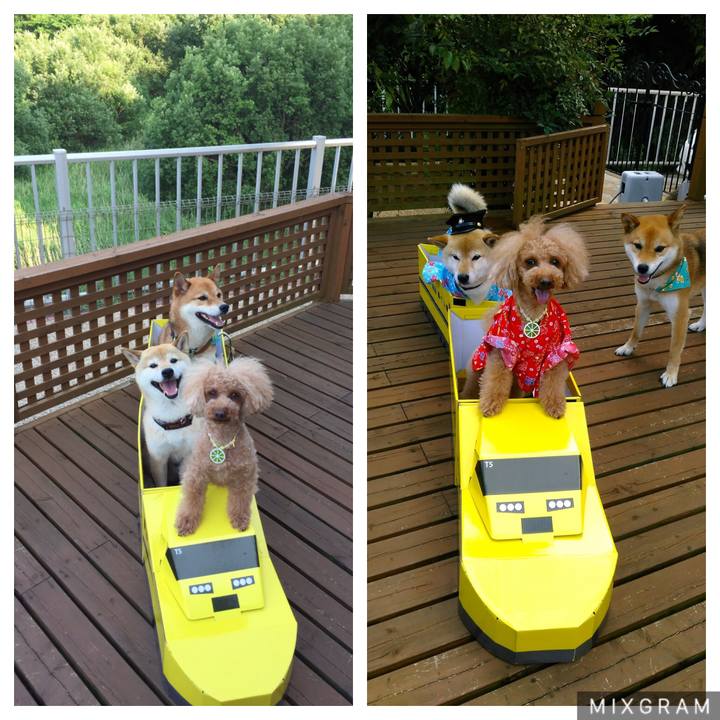 A5845a95 7e6b 49ae 9eaf 3ac89d6b1761