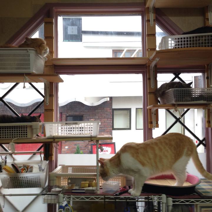 A5846ec3 cdef 4abf 96f1 31416c35f536