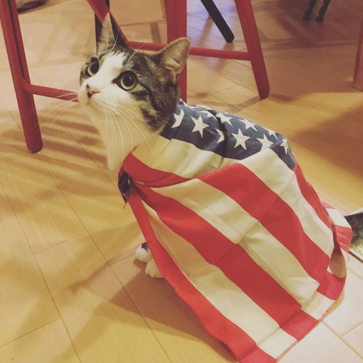 A58492ff 2622 45c2 a79c 388c62d1170a