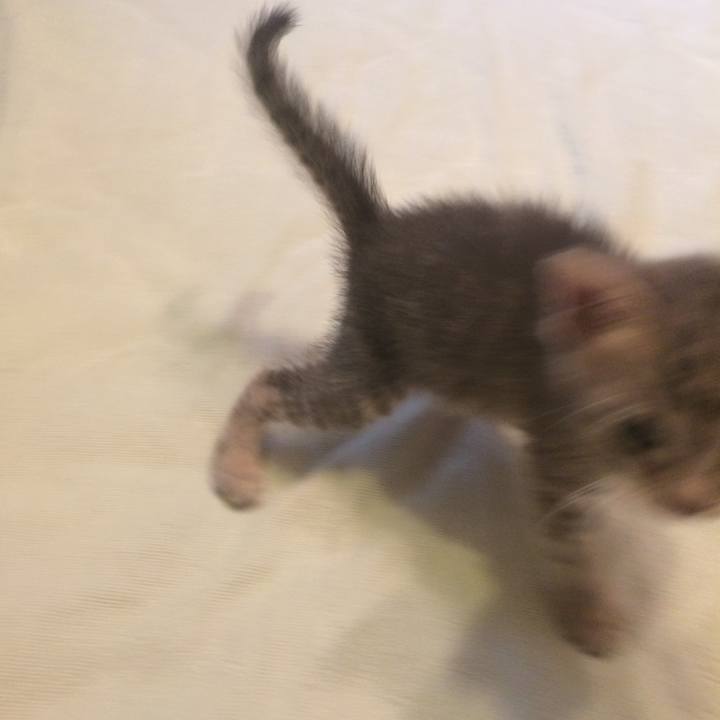 A5853264 61a2 413f 8f8b dd22c27685a8