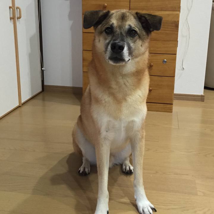 A585488f 3c50 4aa4 b116 ff1e75076c44