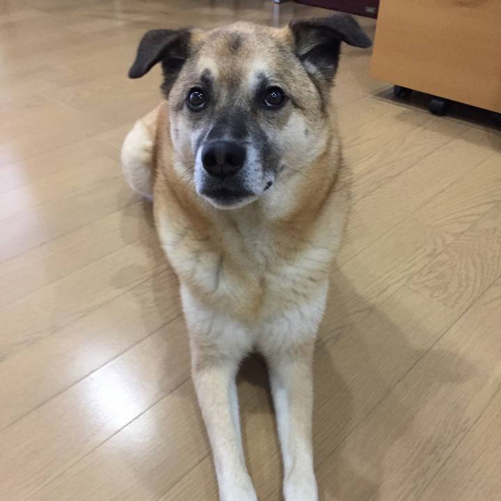 A5865b26 b919 46e3 84c7 ee47f143e4ed