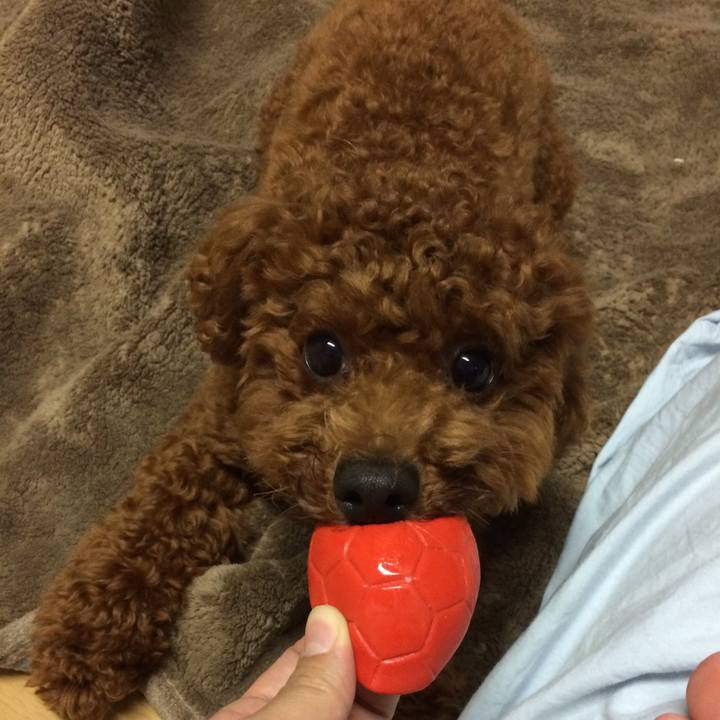 A58669bc d2a7 4438 aa9d 61aa2aeca81c