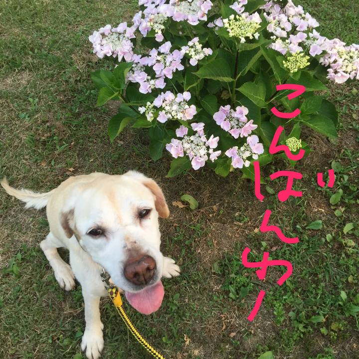 A586791b f25d 4935 bc31 9d658b94d507