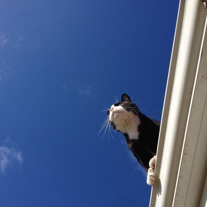 A5882e9d 3495 4851 bf0b c7ed63bb9ea6