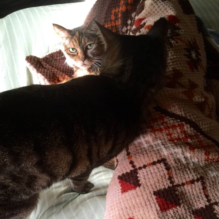 A588e087 476b 4bde a3d6 cdffc8369049