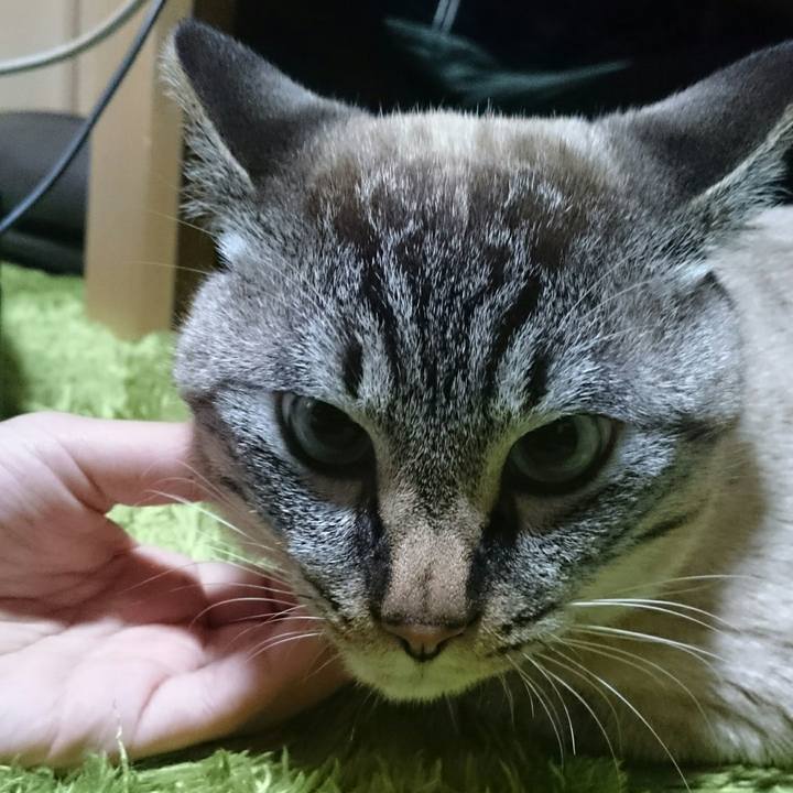 A58922f5 34b9 4a94 80b4 c4b49edba9e4