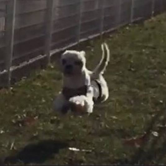 A5897b51 861b 4039 abd8 85639e6bd56f