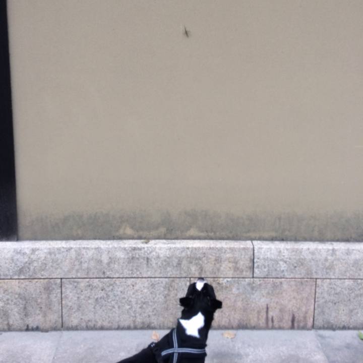 A589875c 7241 49cb 9e08 e7cce4bd863e