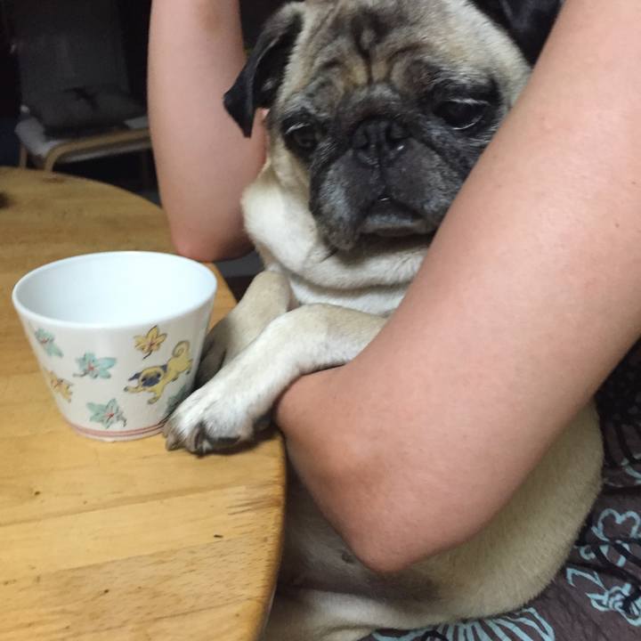 A589b58d 773a 41c7 b17e 6a437d2ed616