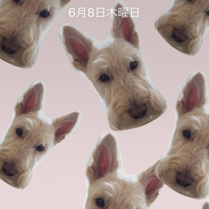 A589b8d0 60cc 4184 8c38 a54476775746