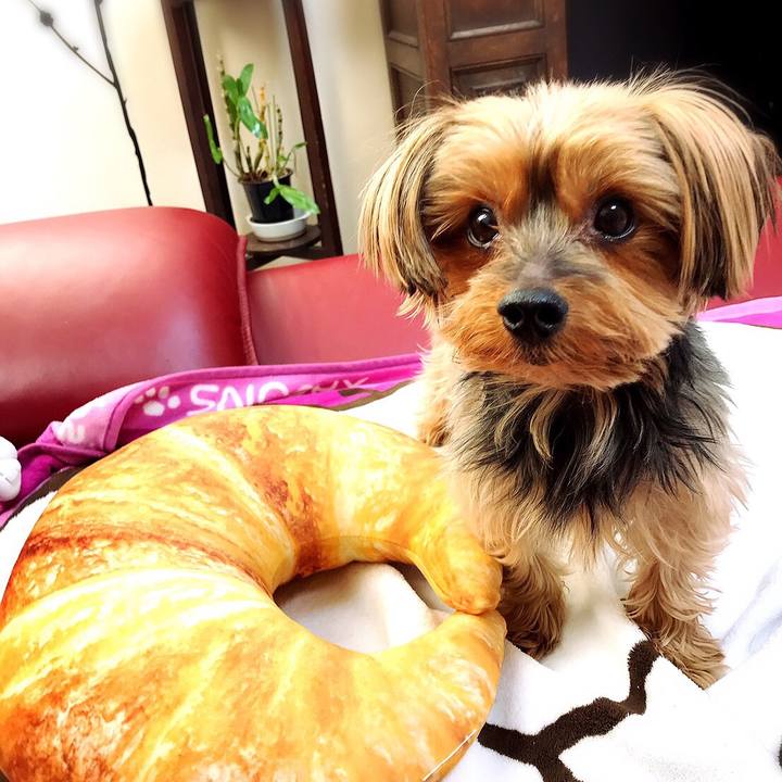 A58ac28f 6c25 4248 9fd8 39932ef15681