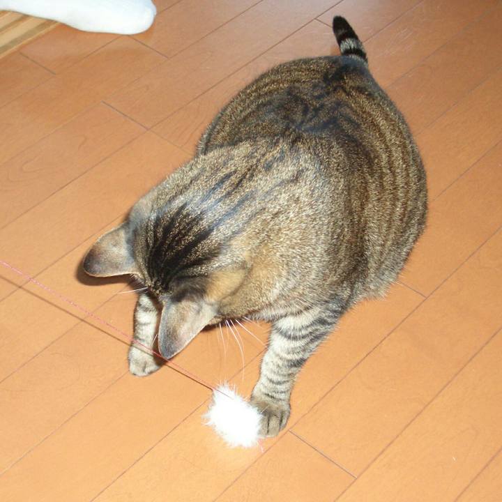 A58c1bf8 ae34 41ac a53e 3463bf0e0712