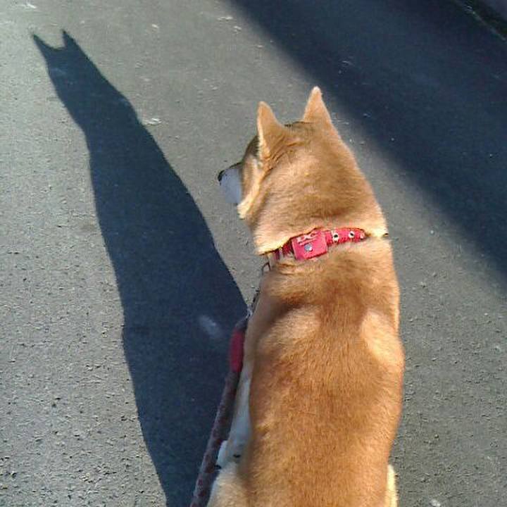 A58c818b dd25 46d9 8031 c286b226b51d