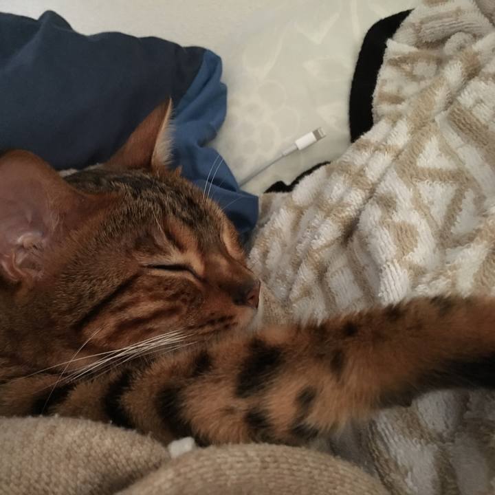 A58cce1b f6a2 4b8a 84e1 6ab84f9e8d3c