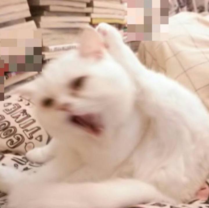 A58cf514 36b8 44a8 b5f9 fa321ad707f4